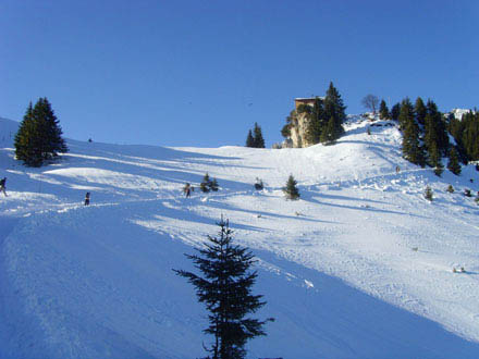 Wintertraum: Schnee, Himmel und ein paar Bäume 